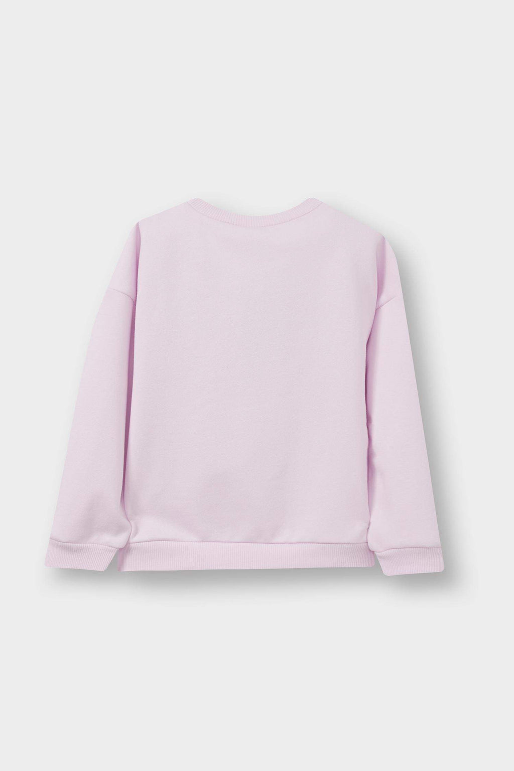 Baby Girl Crew Neck Printed Sweatshirt with Soft Furry Inside