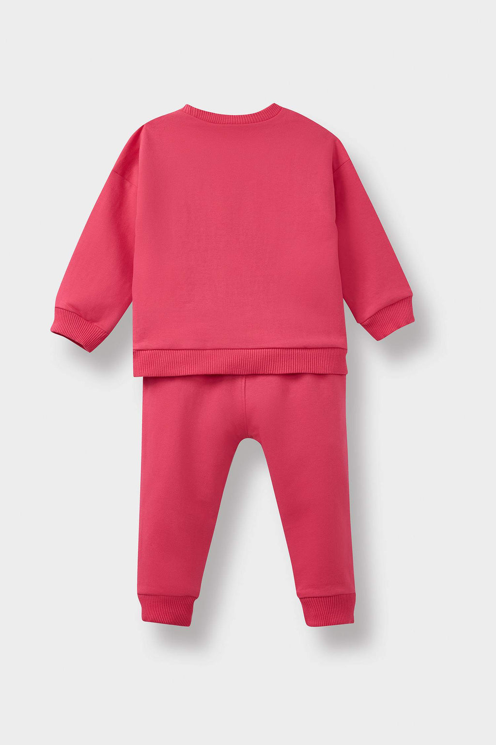 Baby Girl 2-Piece Set Floral Sweatshirt Tracksuit Bottoms