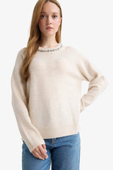 Regular Fit Crew Neck Knitwear Pullover