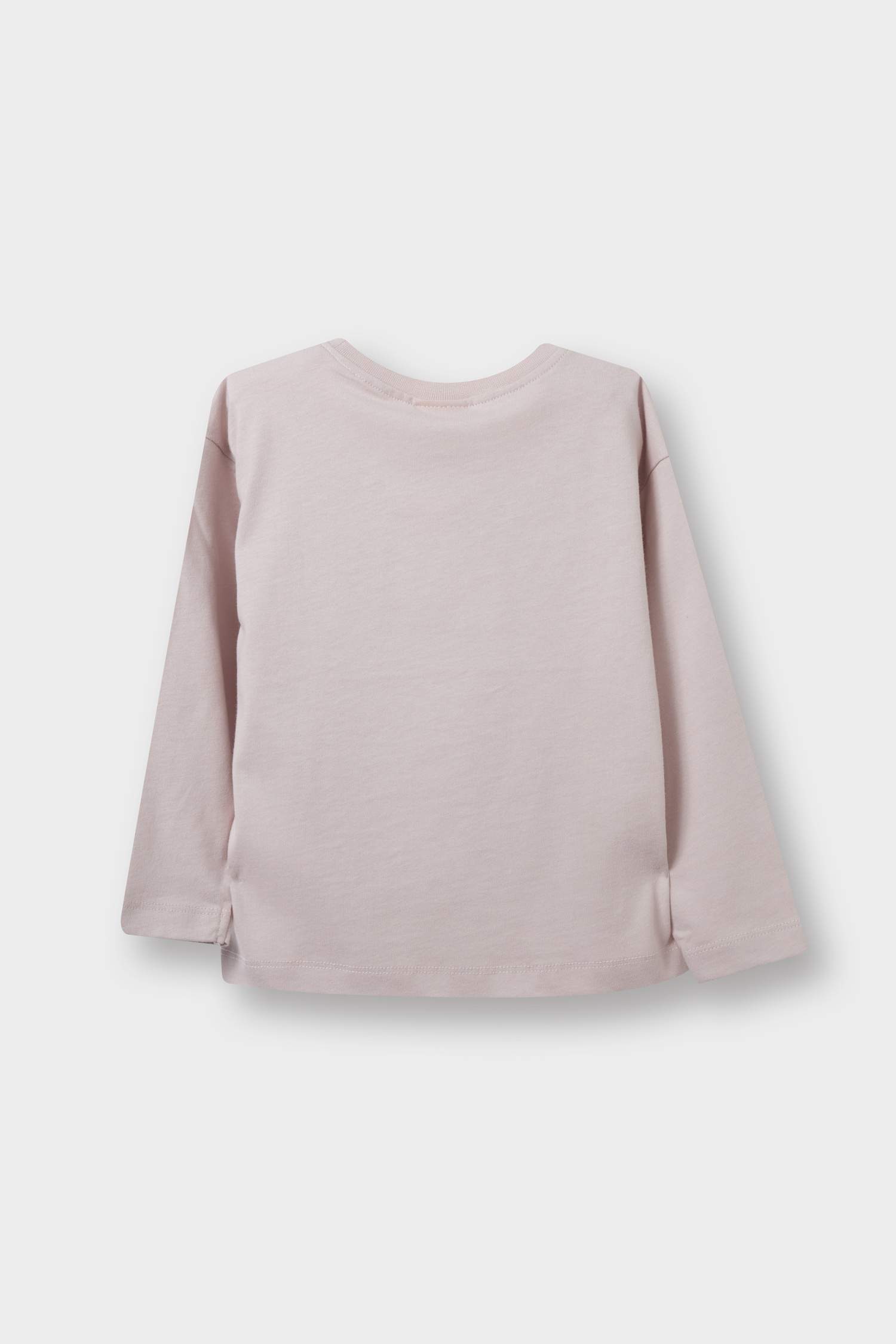 Baby Girl Crew Neck Printed Long Sleeve T-Shirt