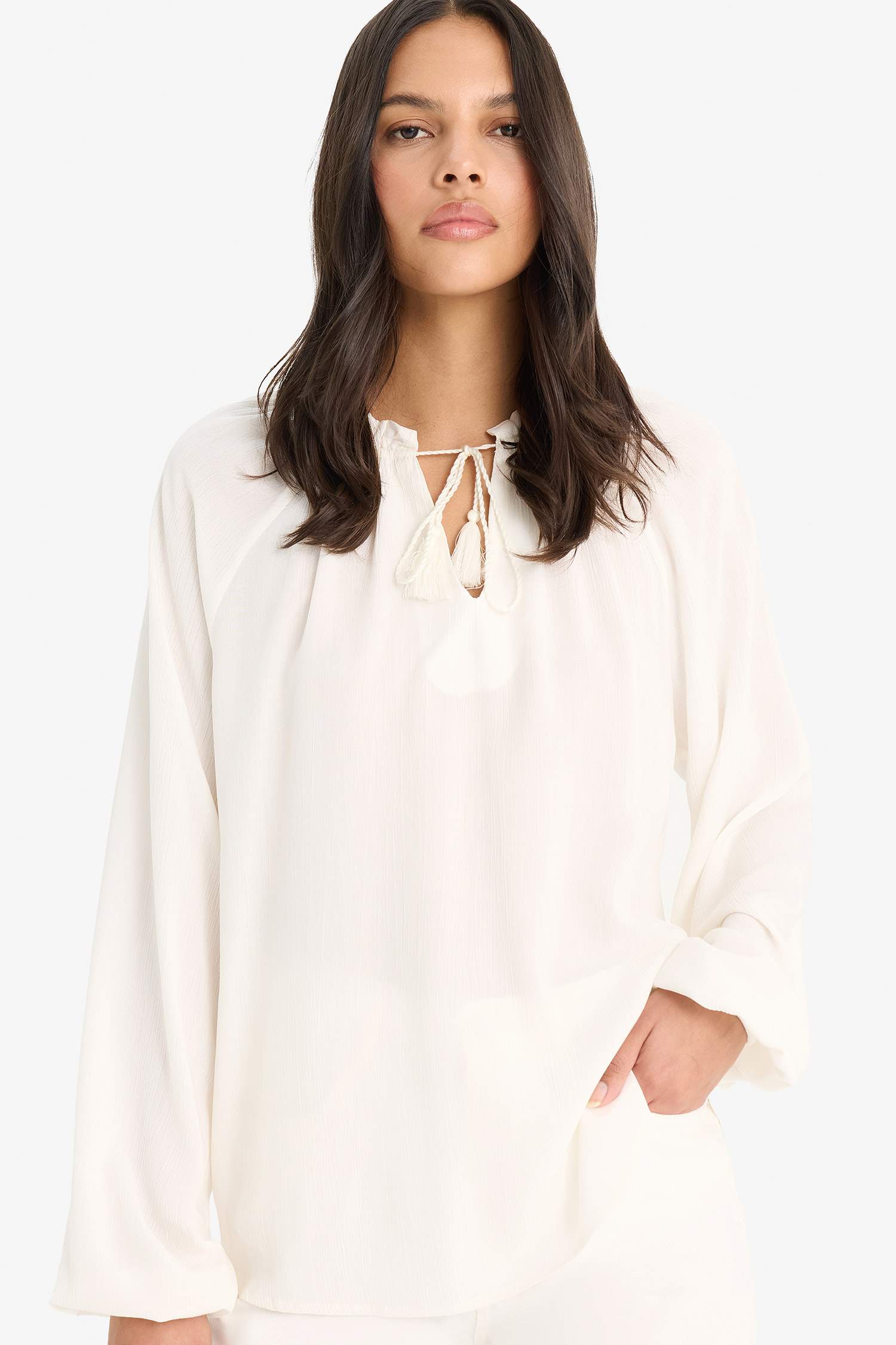 Regular Fit Lace Collar Cricket Fabric Long Sleeve Blouse