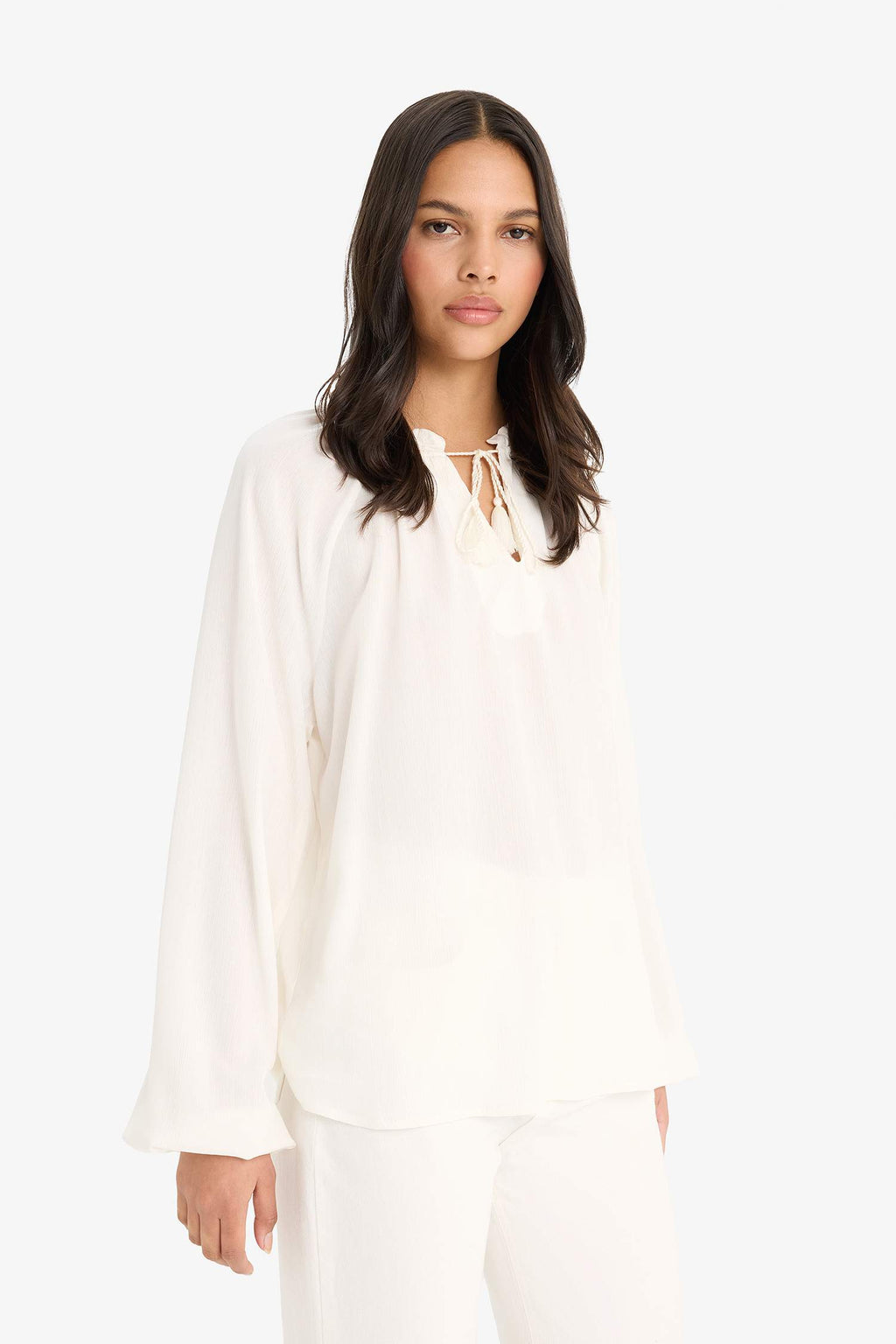 Regular Fit Lace Collar Cricket Fabric Long Sleeve Blouse