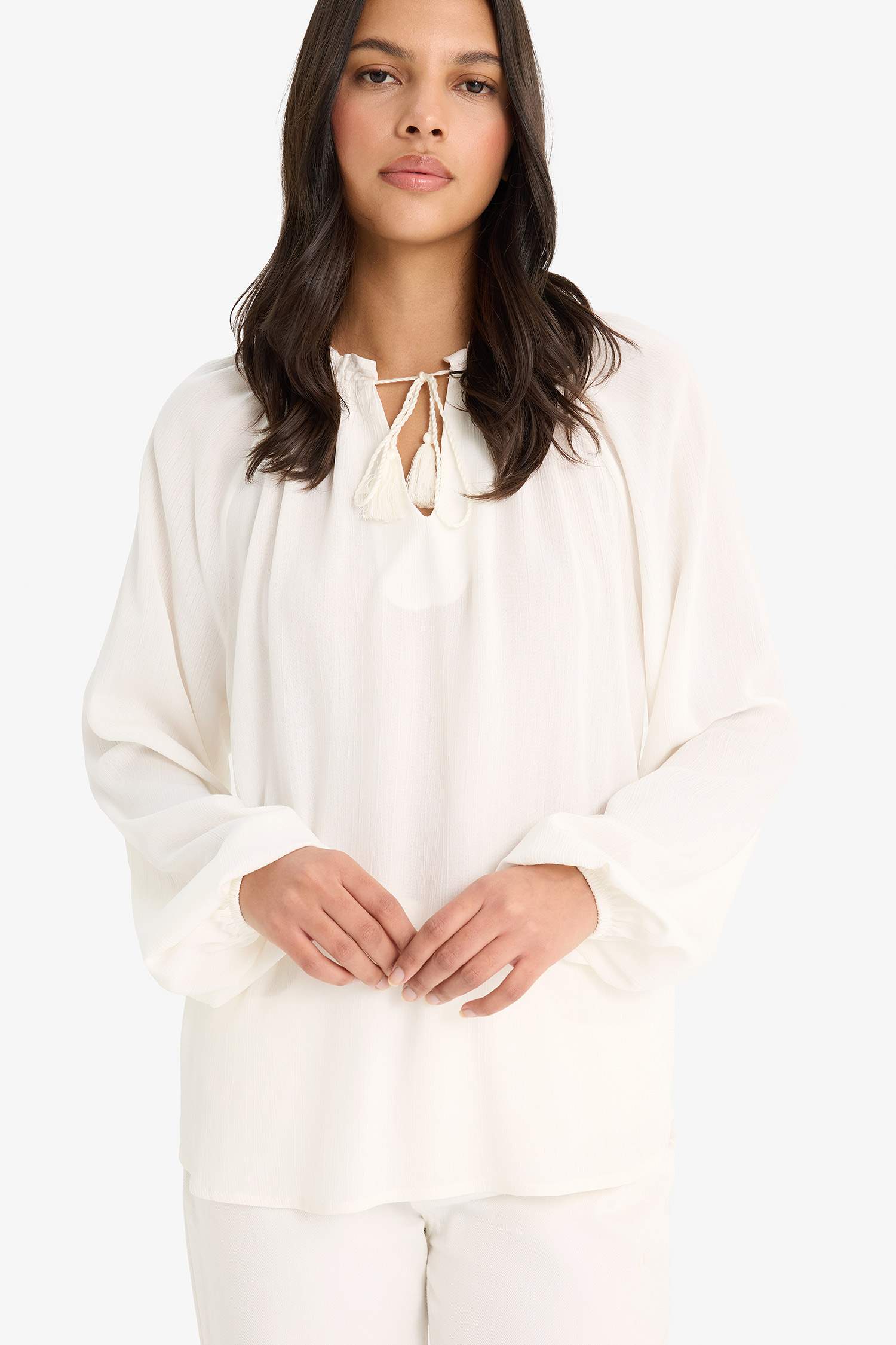 Regular Fit Lace Collar Cricket Fabric Long Sleeve Blouse