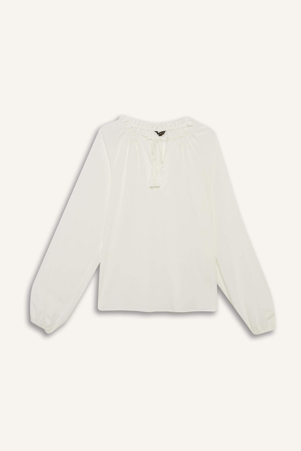 Regular Fit Lace Collar Cricket Fabric Long Sleeve Blouse