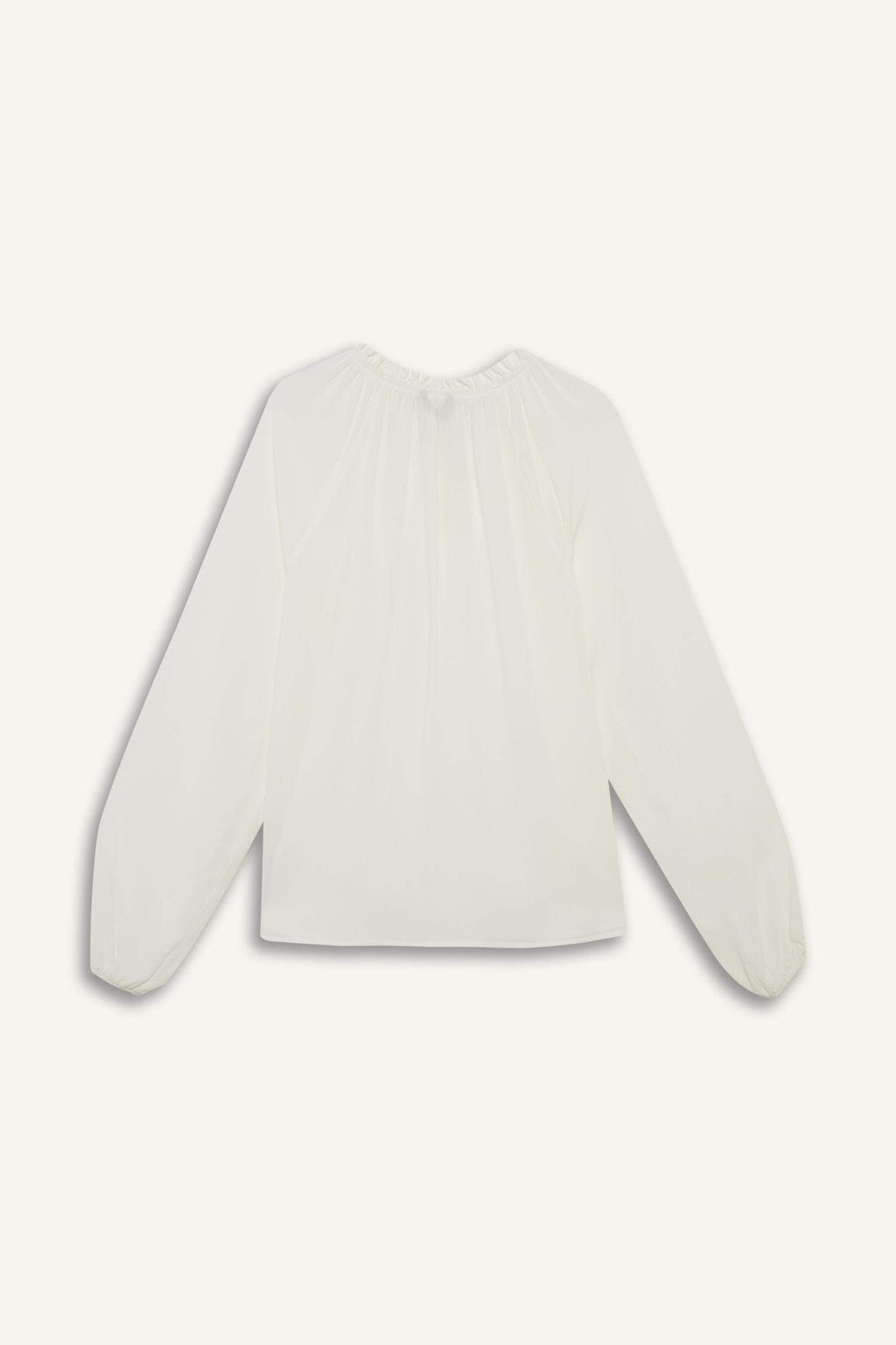 Regular Fit Lace Collar Cricket Fabric Long Sleeve Blouse