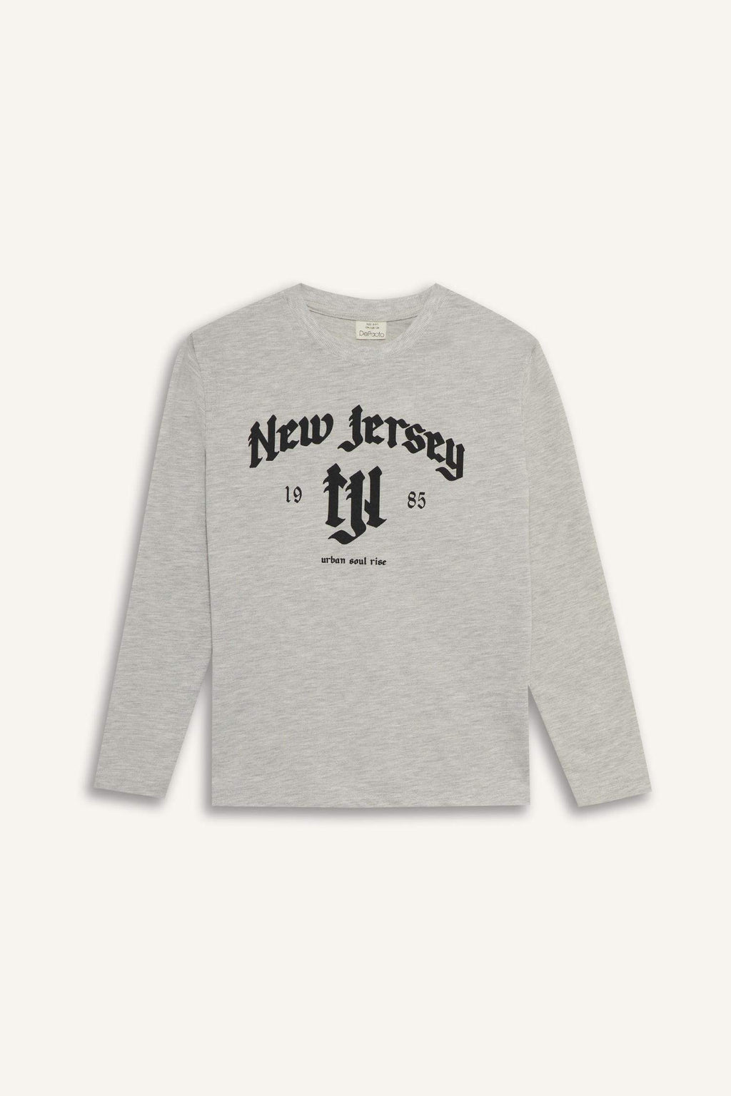 Boys Crew Neck Printed Long Sleeve T-Shirt