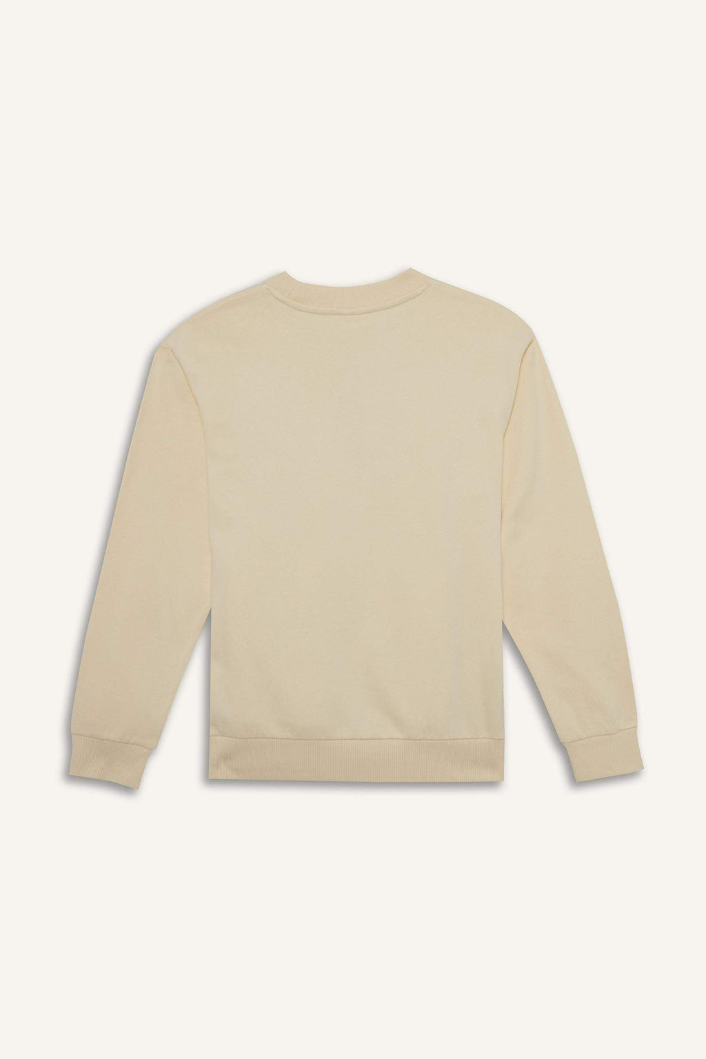 Boys Crew Neck Printed Sweatshirt with Soft Fur Inside