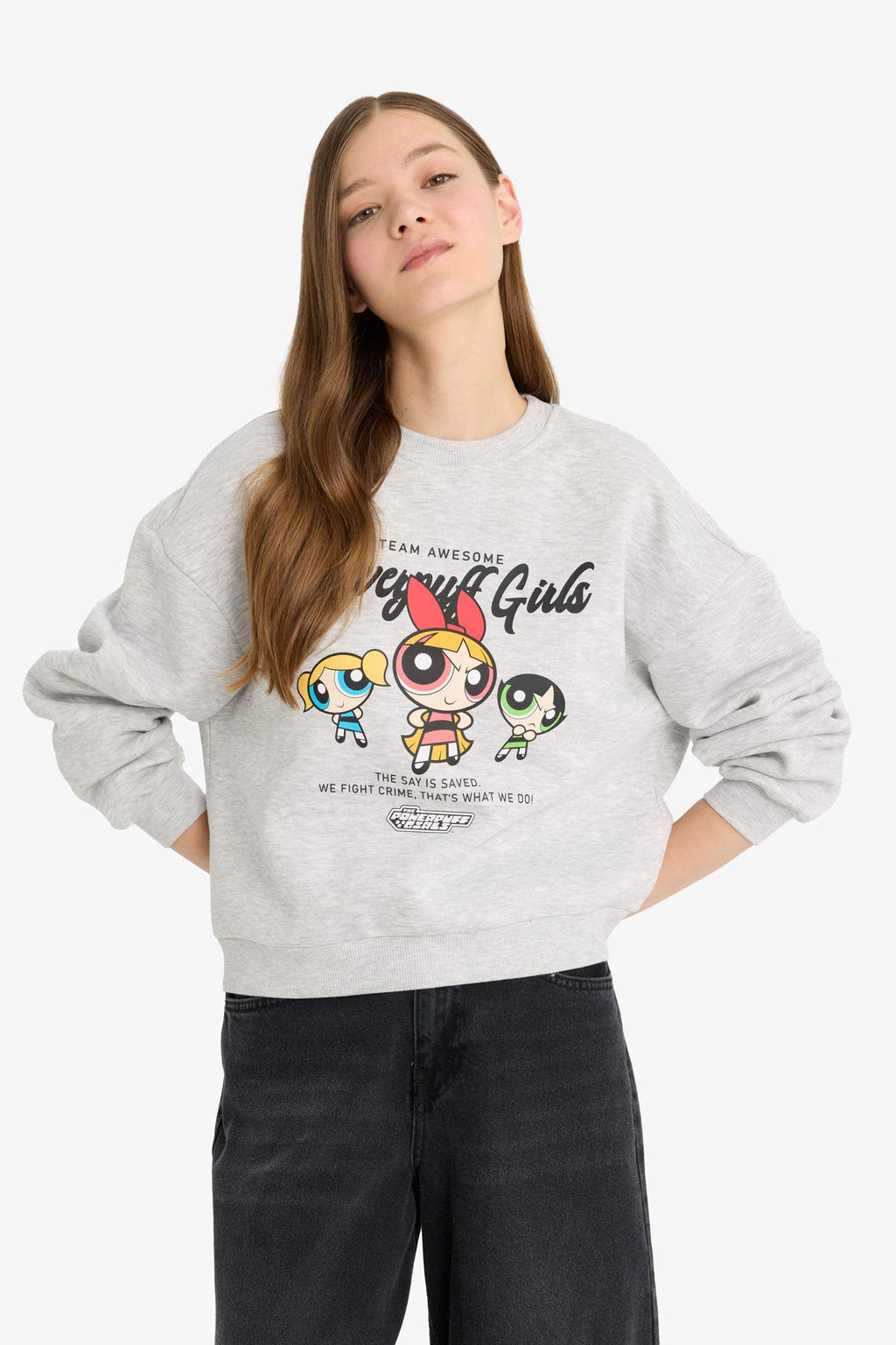 Cool PowerPuff Girls Regular Fit Crew Neck Printed Sweater in Heavyweight Fabric