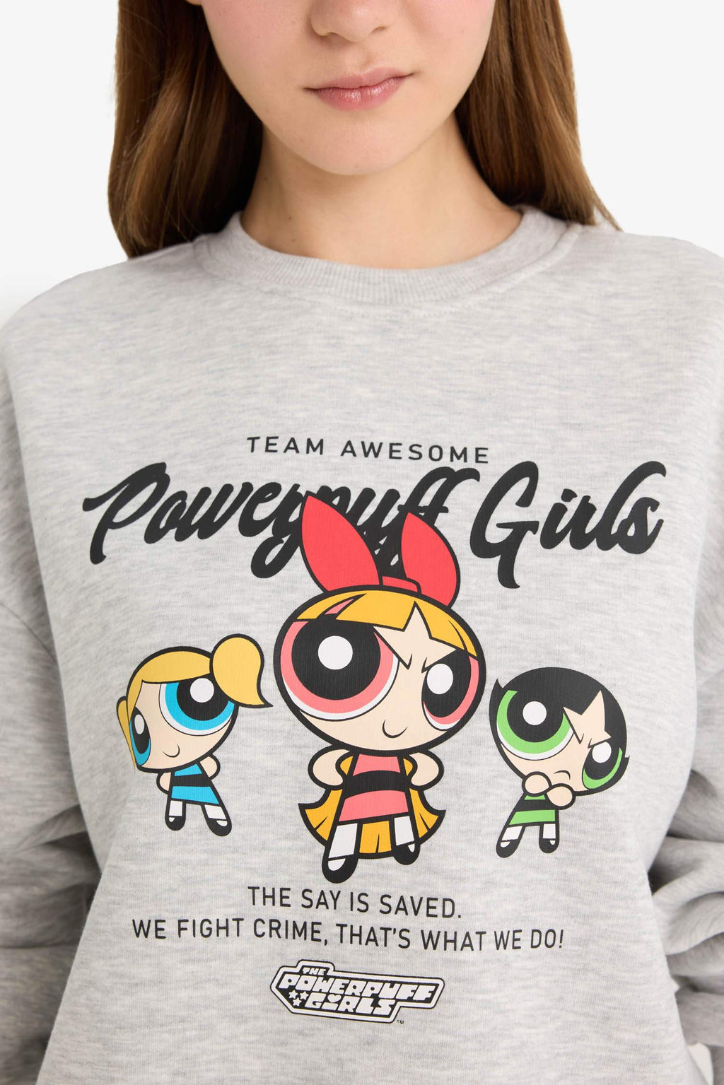 Cool PowerPuff Girls Regular Fit Crew Neck Printed Sweater in Heavyweight Fabric