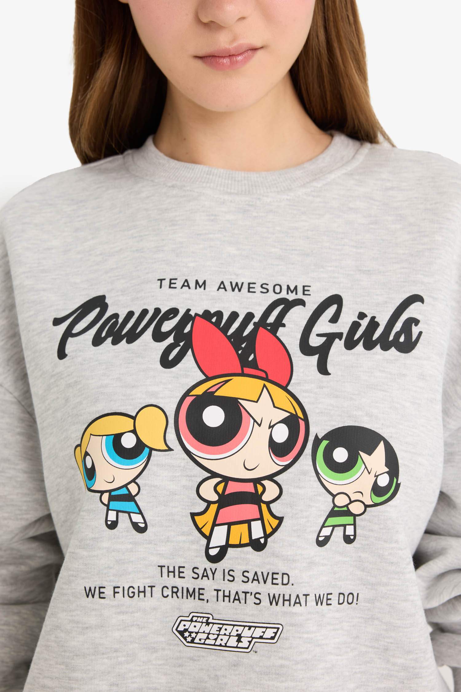 Cool PowerPuff Girls Regular Fit Crew Neck Printed Sweater in Heavyweight Fabric