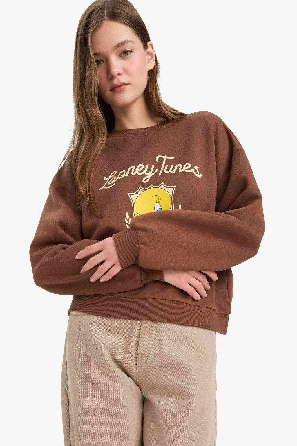 Cool Looney Tunes regular fit crew neck sweater with print in heavyweight material