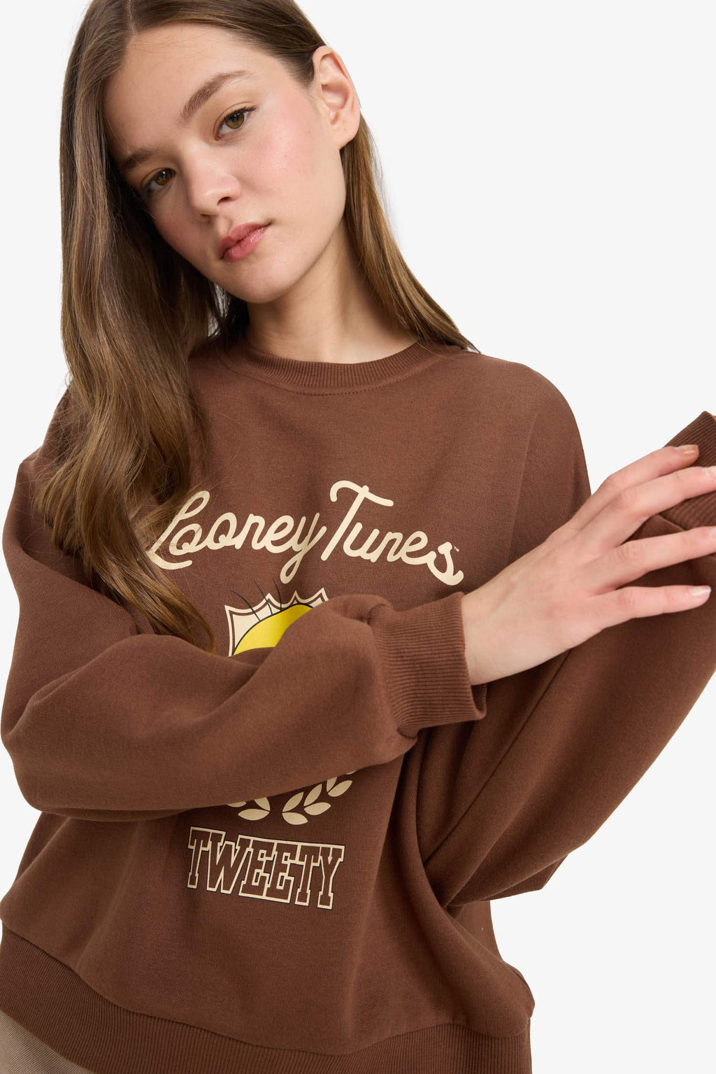 Cool Looney Tunes regular fit crew neck sweater with print in heavyweight material