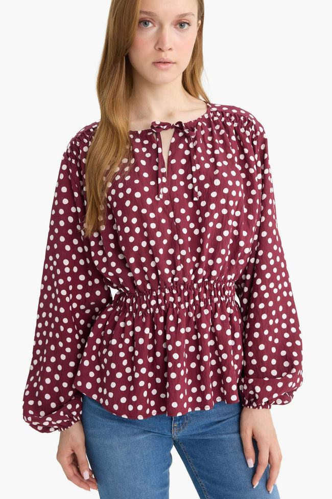Regular Fit Crew Neck Polka Dot Long Sleeve Blouse Hover Image