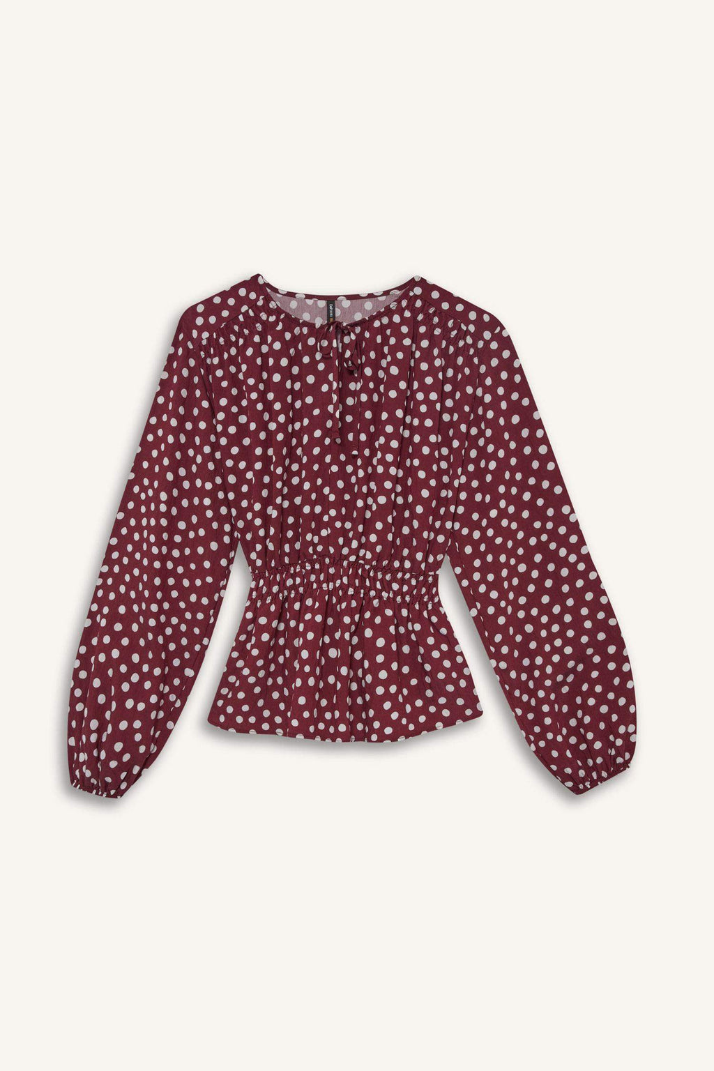 Regular Fit Crew Neck Polka Dot Long Sleeve Blouse