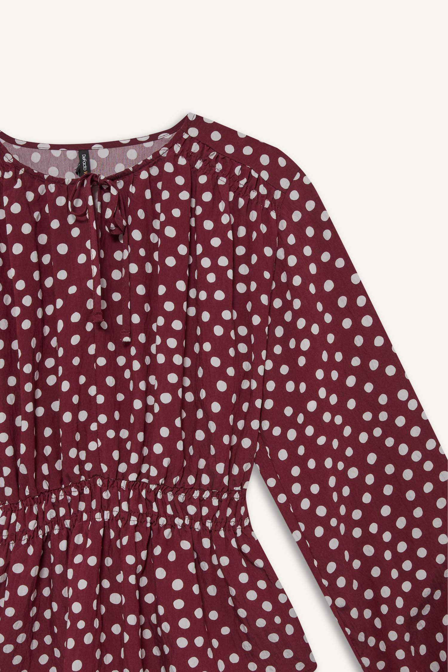 Regular Fit Crew Neck Polka Dot Long Sleeve Blouse
