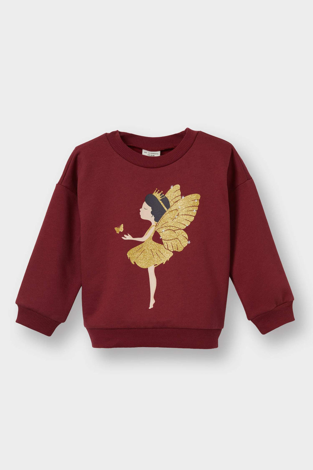 Baby Girl Crew Neck Printed Sweatshirt with Soft, Fleece Lining