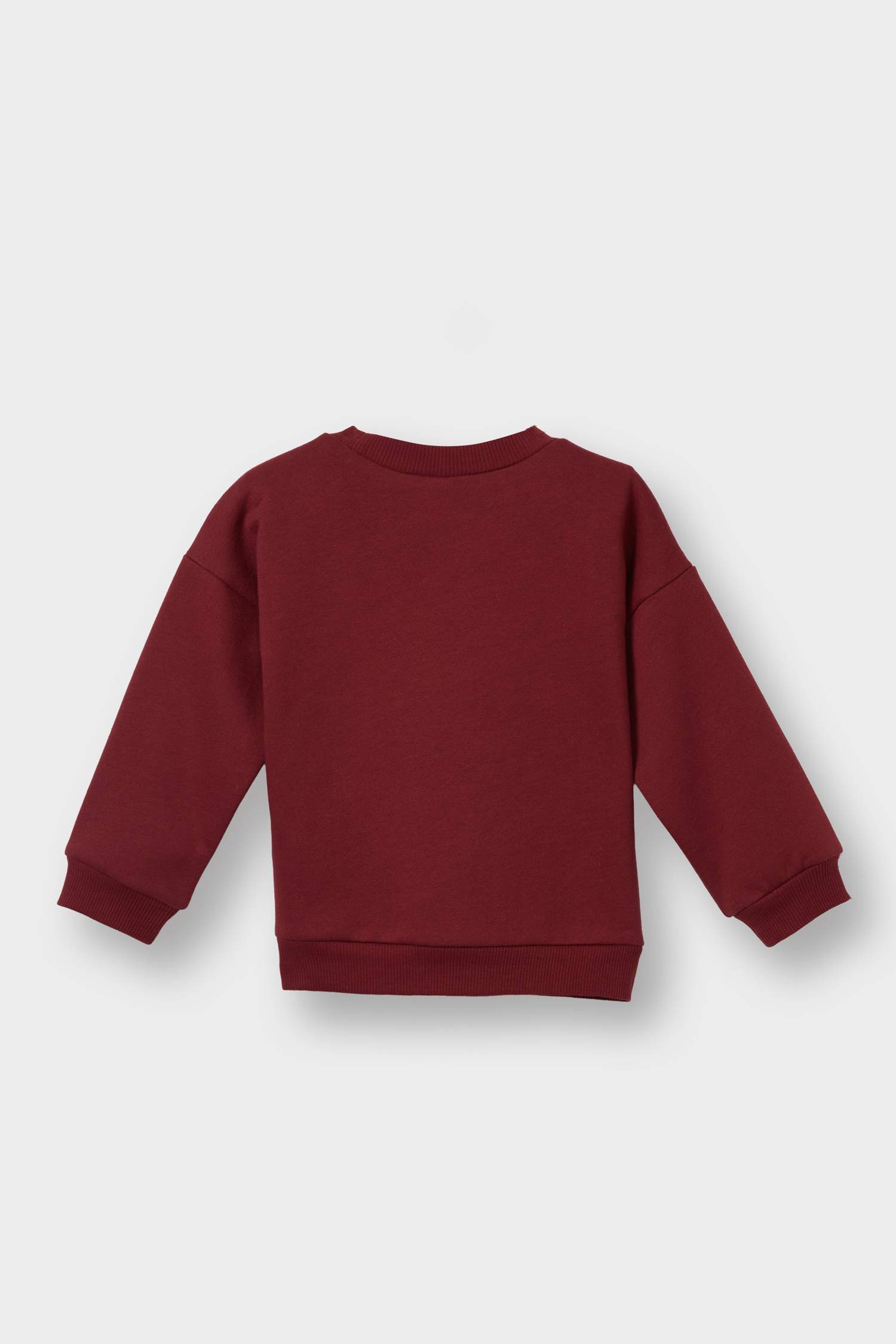 Baby Girl Crew Neck Printed Sweatshirt with Soft, Fleece Lining