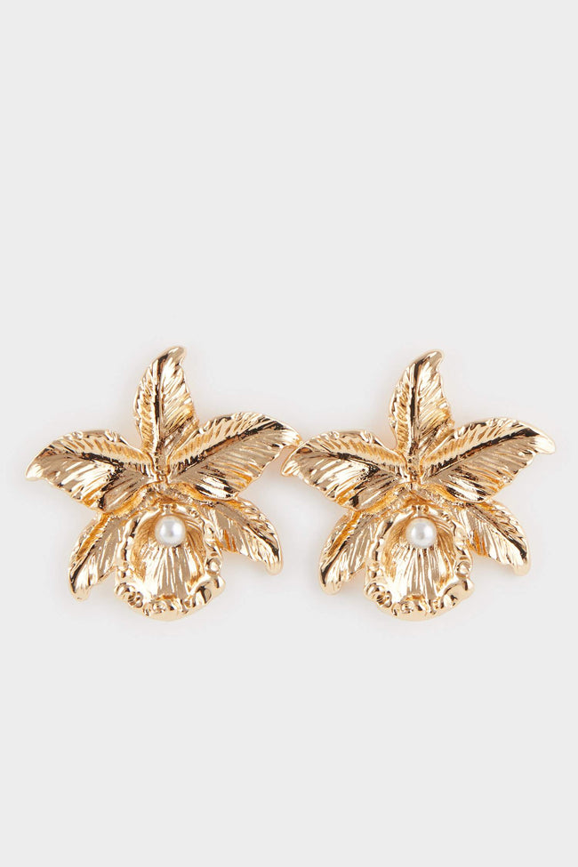 Women Star Gold Earrings Hover Image