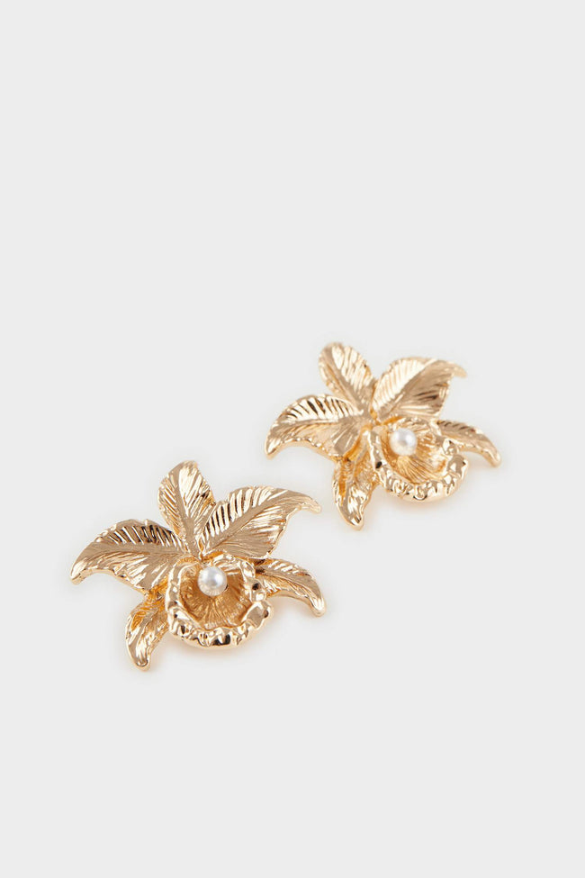 Women Star Gold Earrings Main Image