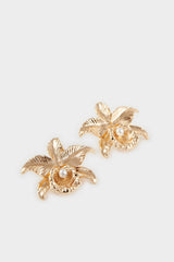 Women Star Gold Earrings