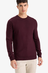 Standard Fit Crew Neck Basic Textured Knitwear Sweater