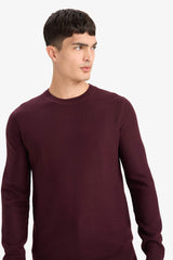 Standard Fit Crew Neck Basic Textured Knitwear Sweater
