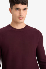 Standard Fit Crew Neck Basic Textured Knitwear Sweater