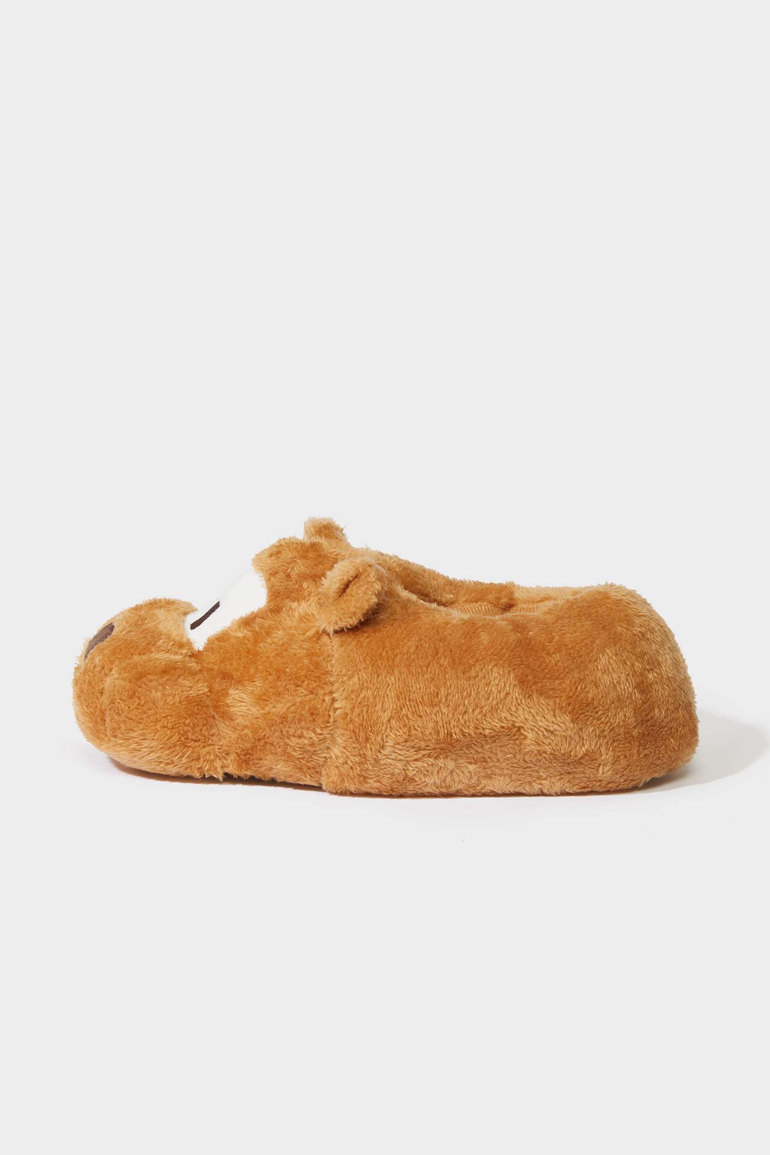 Boys Dog Themed Flat Sole Slippers