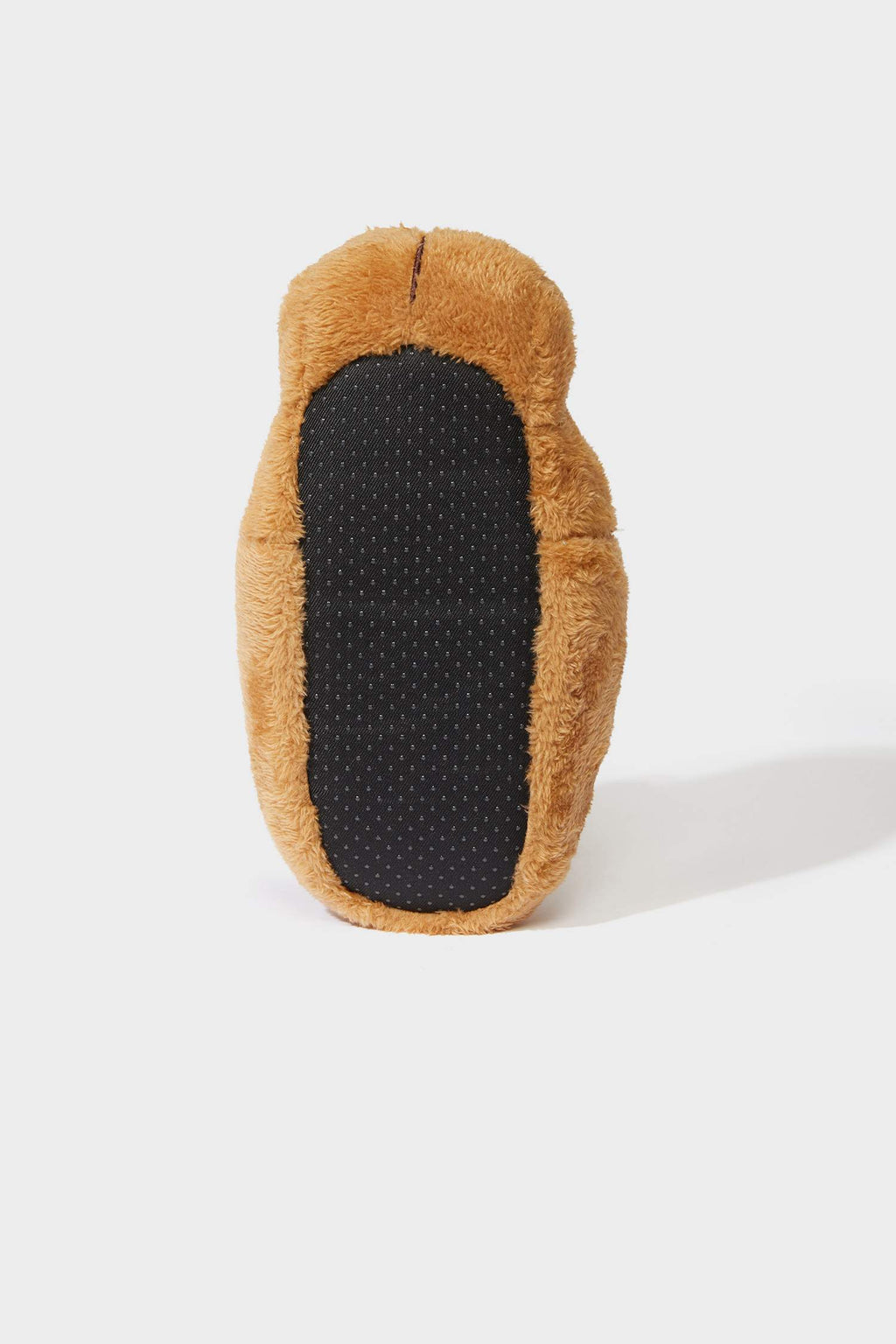 Boys Dog Themed Flat Sole Slippers