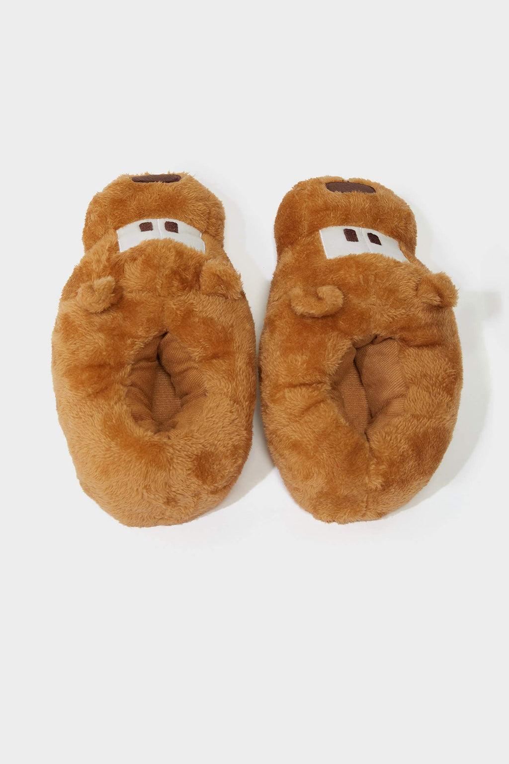 Boys Dog Themed Flat Sole Slippers