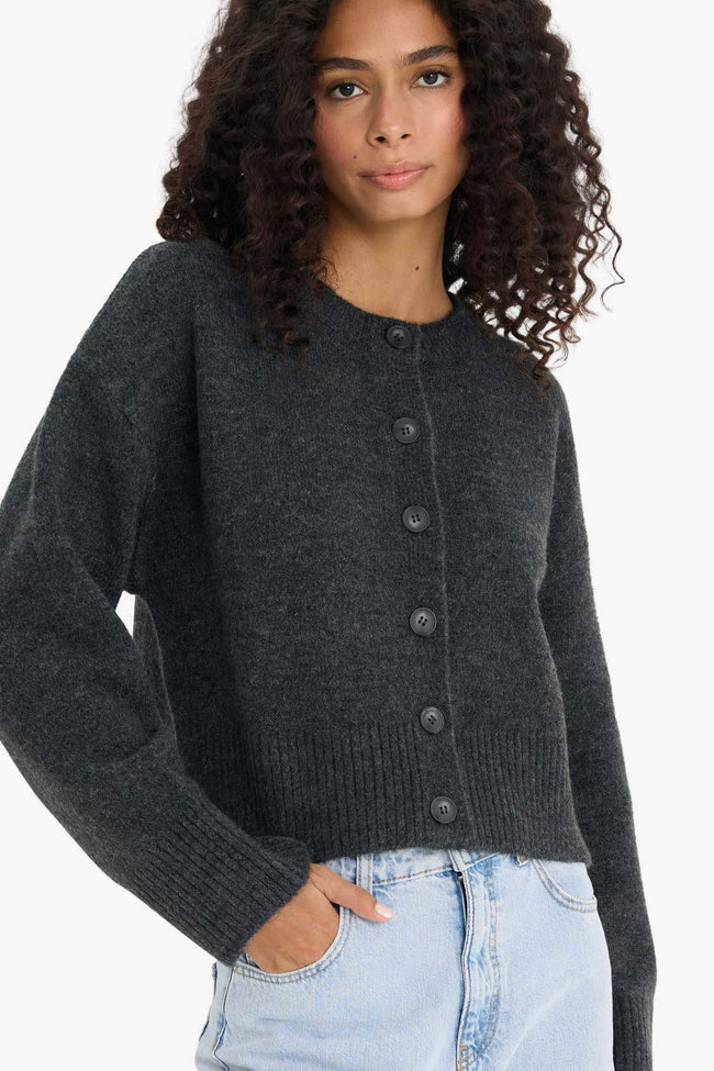 Regular Fit Crew Neck Knitwear Cardigan Hover Image