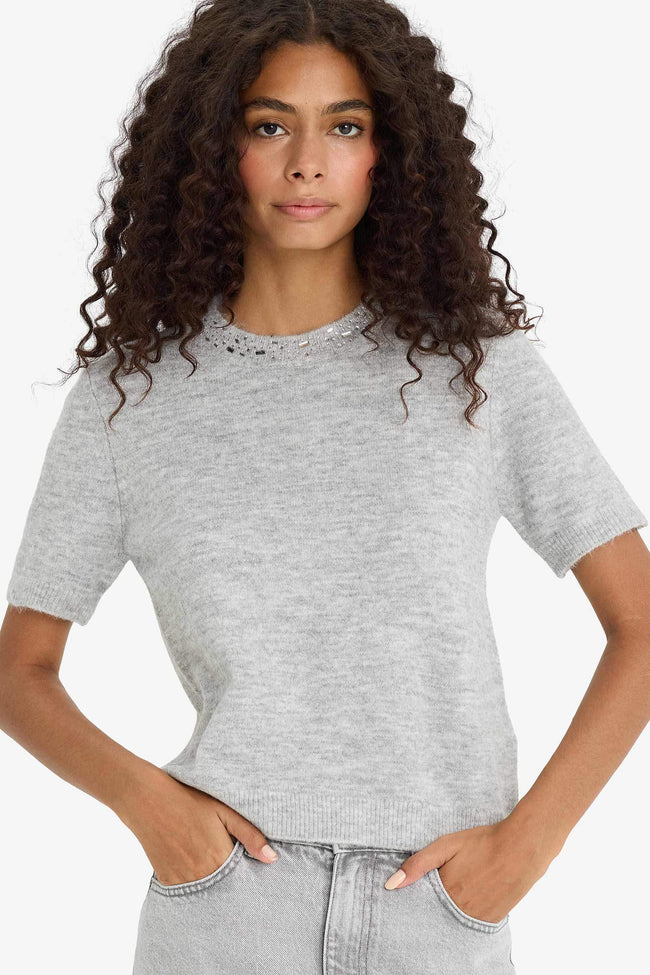 Regular Fit Crew Neck Embroidered Knitwear Pullover Hover Image