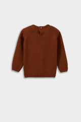 Baby Boy Crew Neck Knit Sweater
