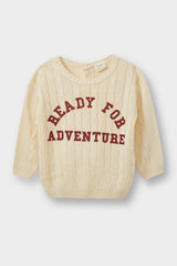 Baby Boy Crew Neck Printed Knitwear Sweater