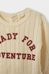 Baby Boy Crew Neck Printed Knitwear Sweater