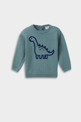 Baby Boy Dinosaur Printed Knit Sweater
