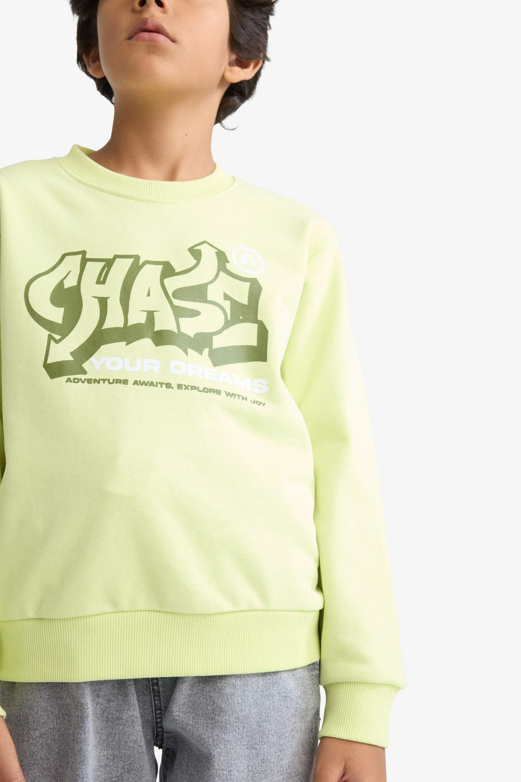 Boys Crew Neck Printed Sweatshirt