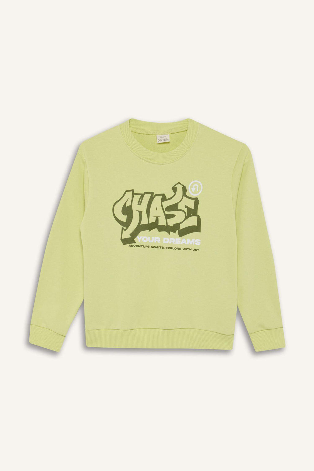 Boys Crew Neck Printed Sweatshirt