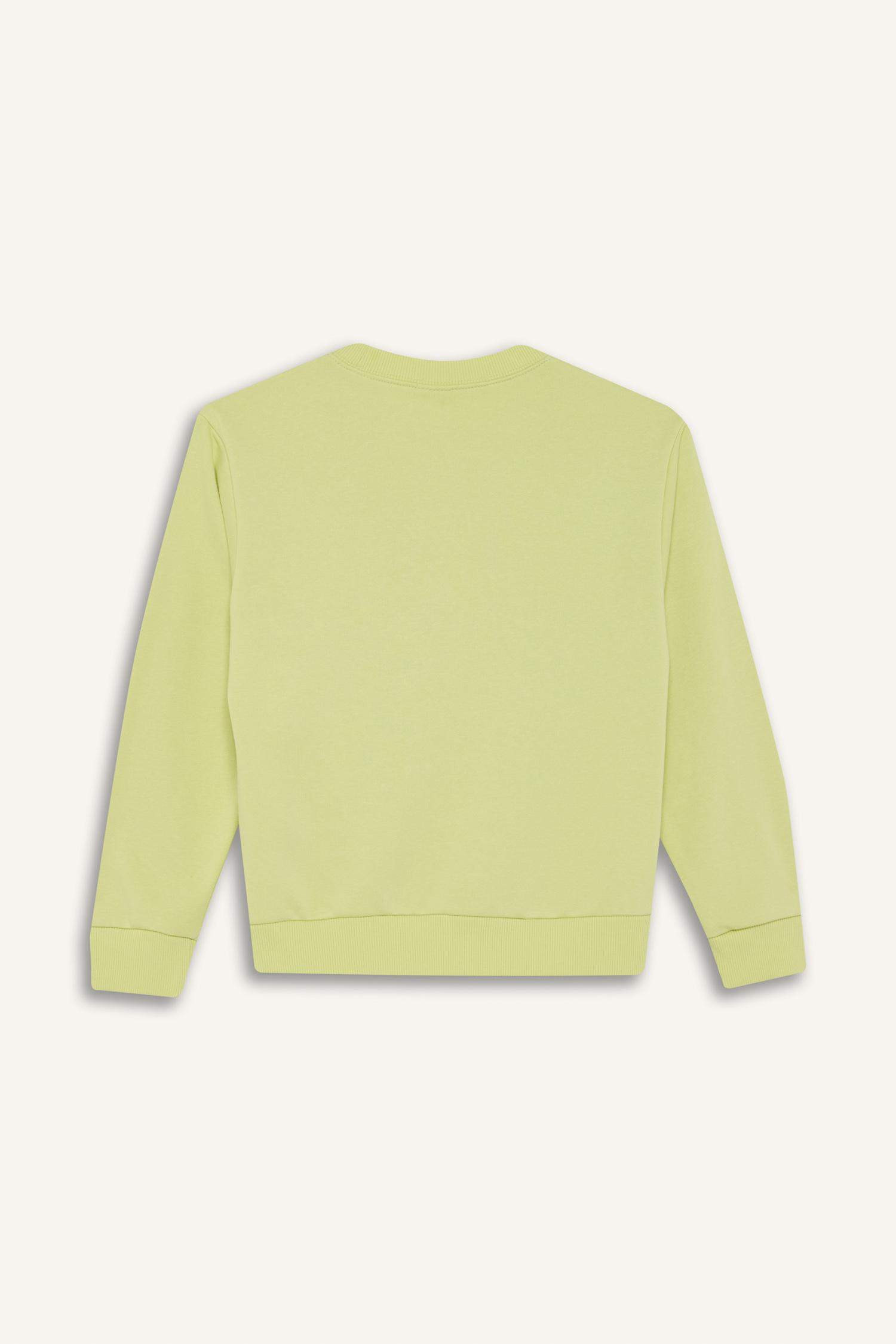 Boys Crew Neck Printed Sweatshirt