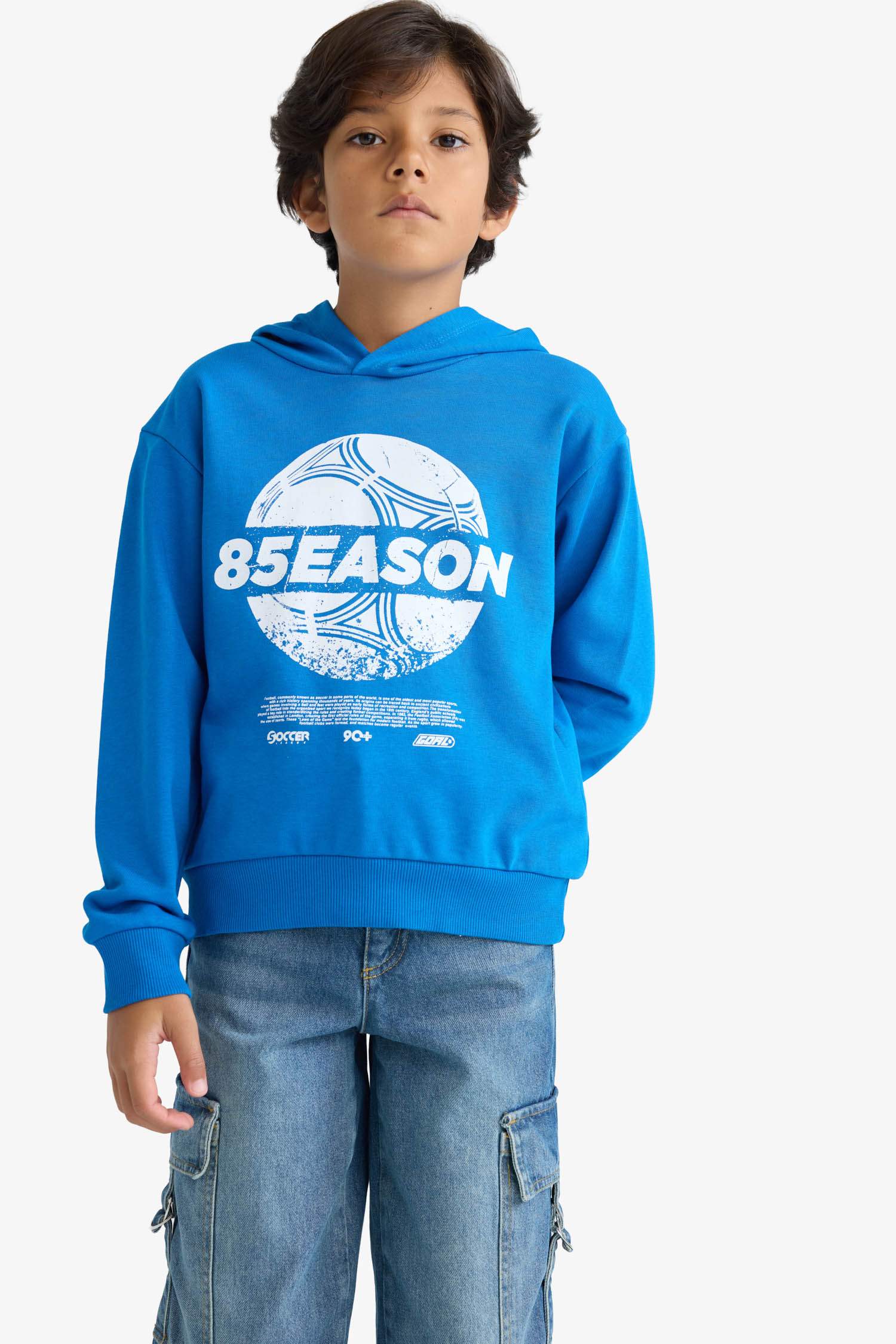 Boys Hooded Printed Sweatshirt