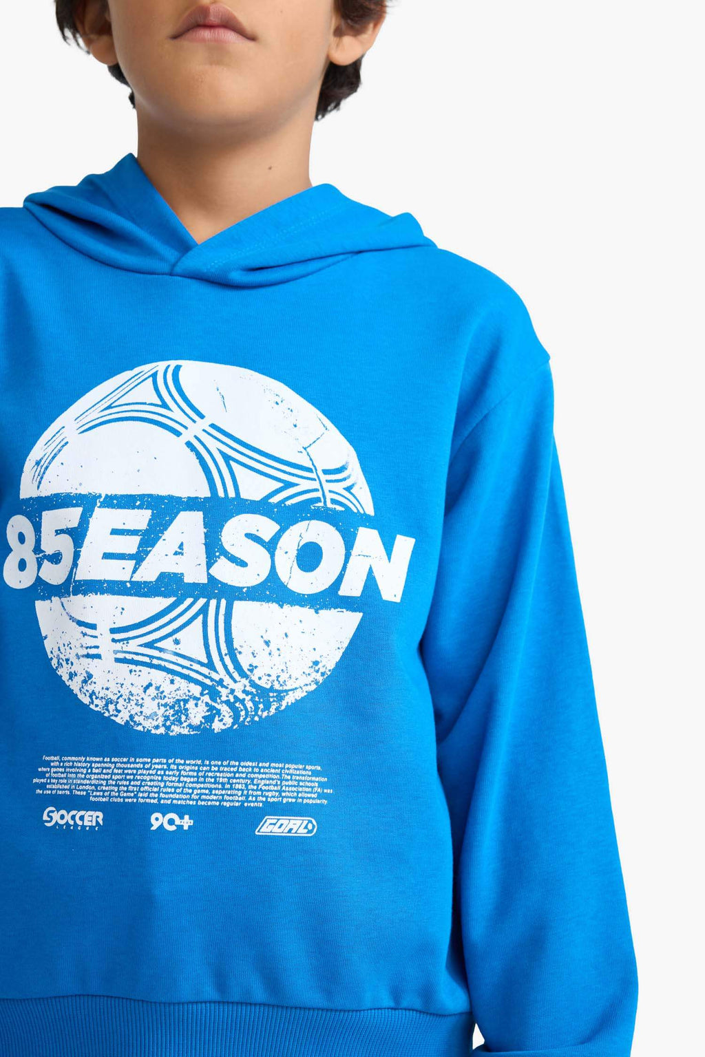 Boys Hooded Printed Sweatshirt