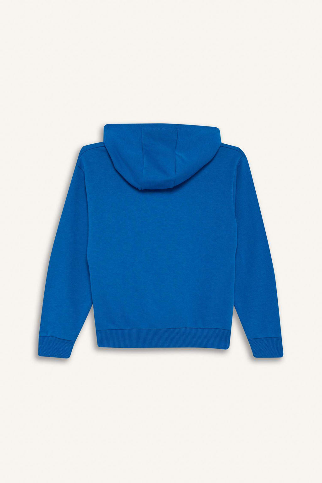 Boys Hooded Printed Sweatshirt