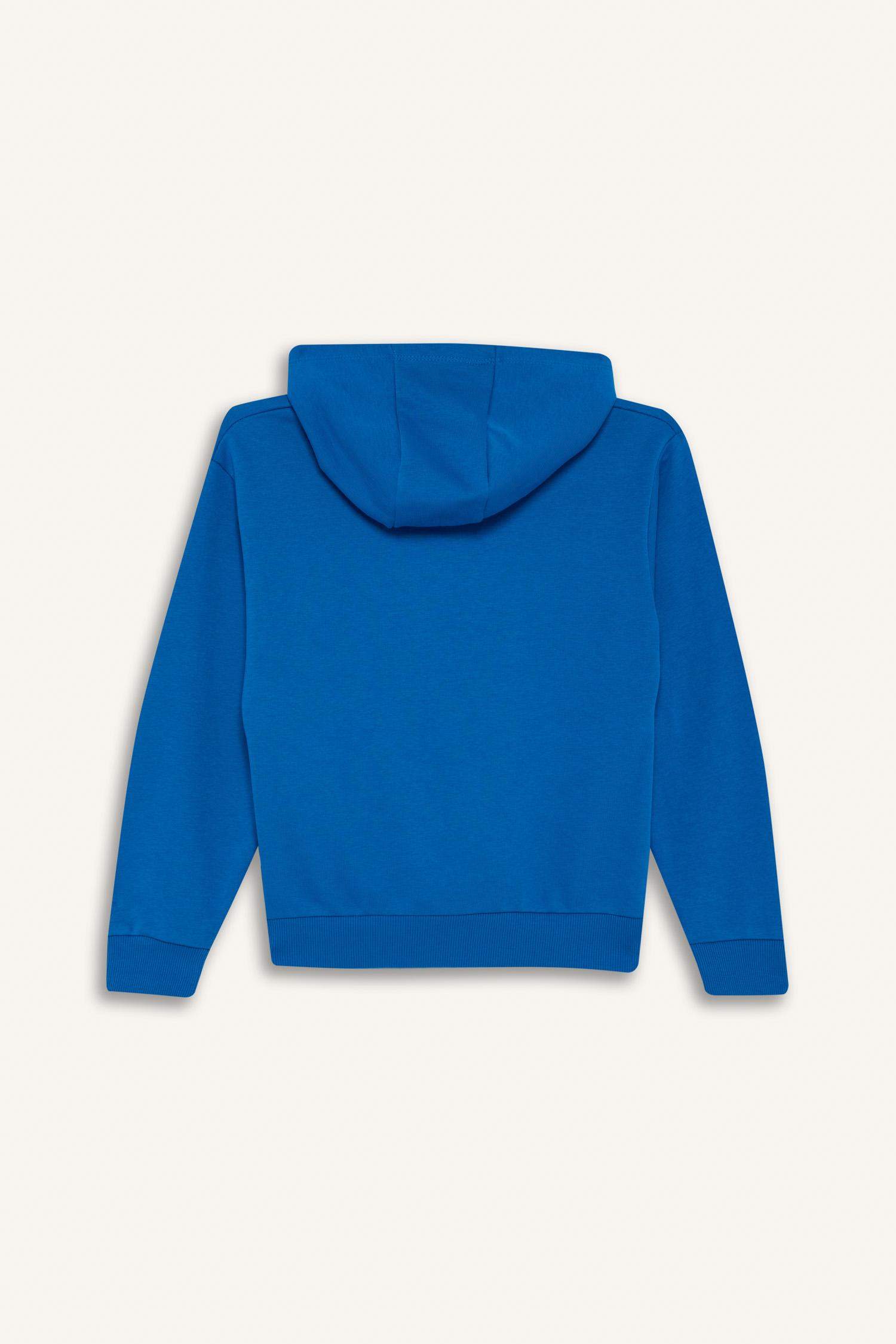 Boys Hooded Printed Sweatshirt