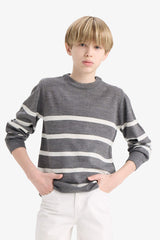 Boys Crew Neck Striped Knit Sweater
