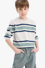 Boys Crew Neck Striped Knit Sweater