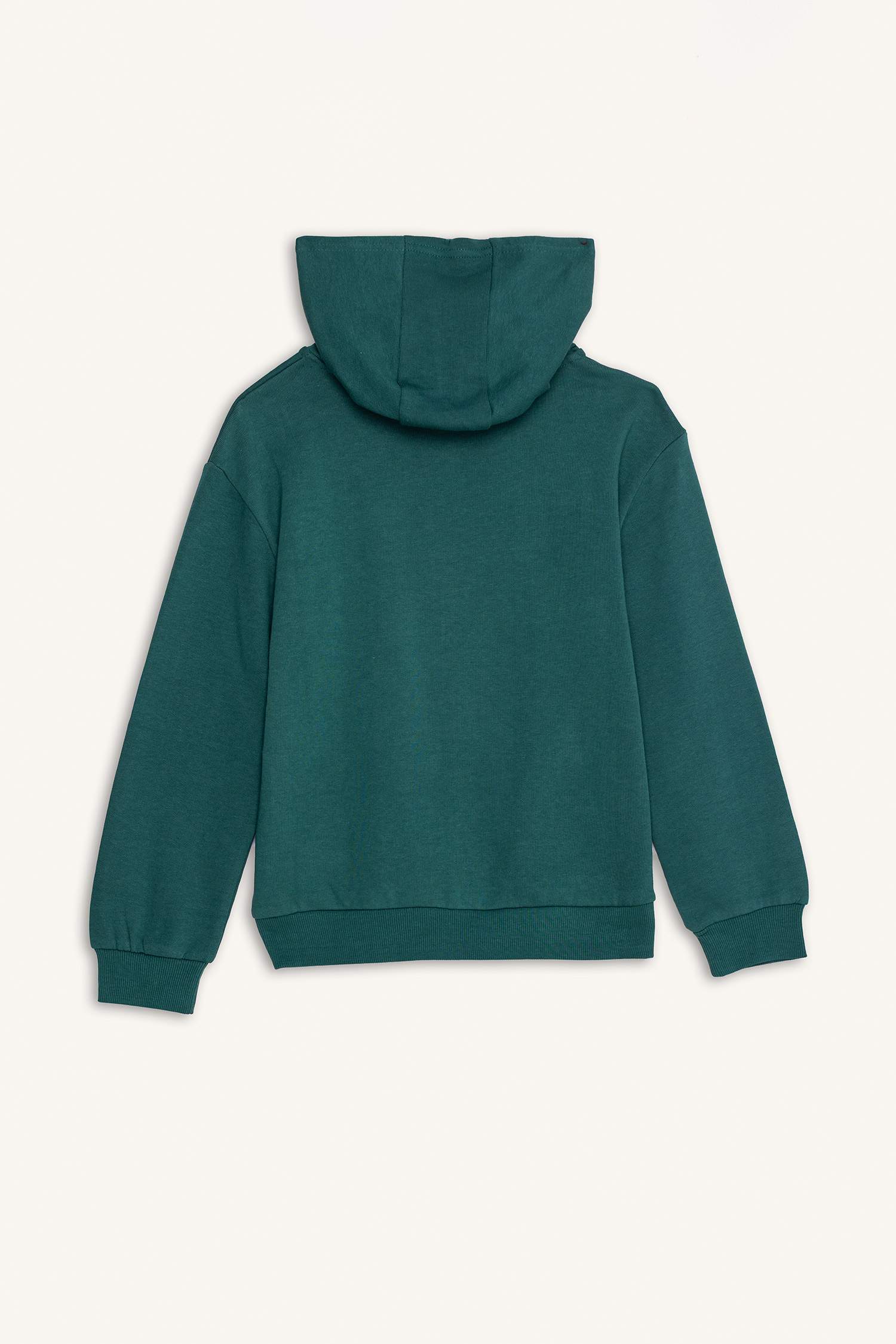 Girl Regular Fit Hooded Sweatshirt