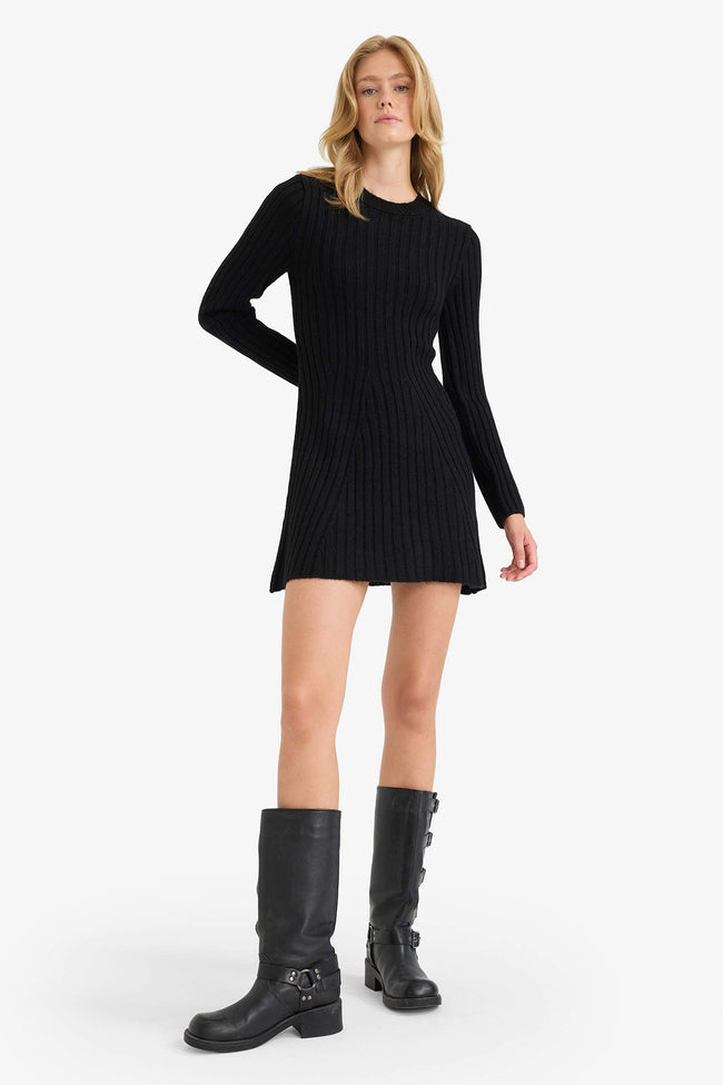 Crew Neck Rib Long Sleeve Mini Dress Main Image