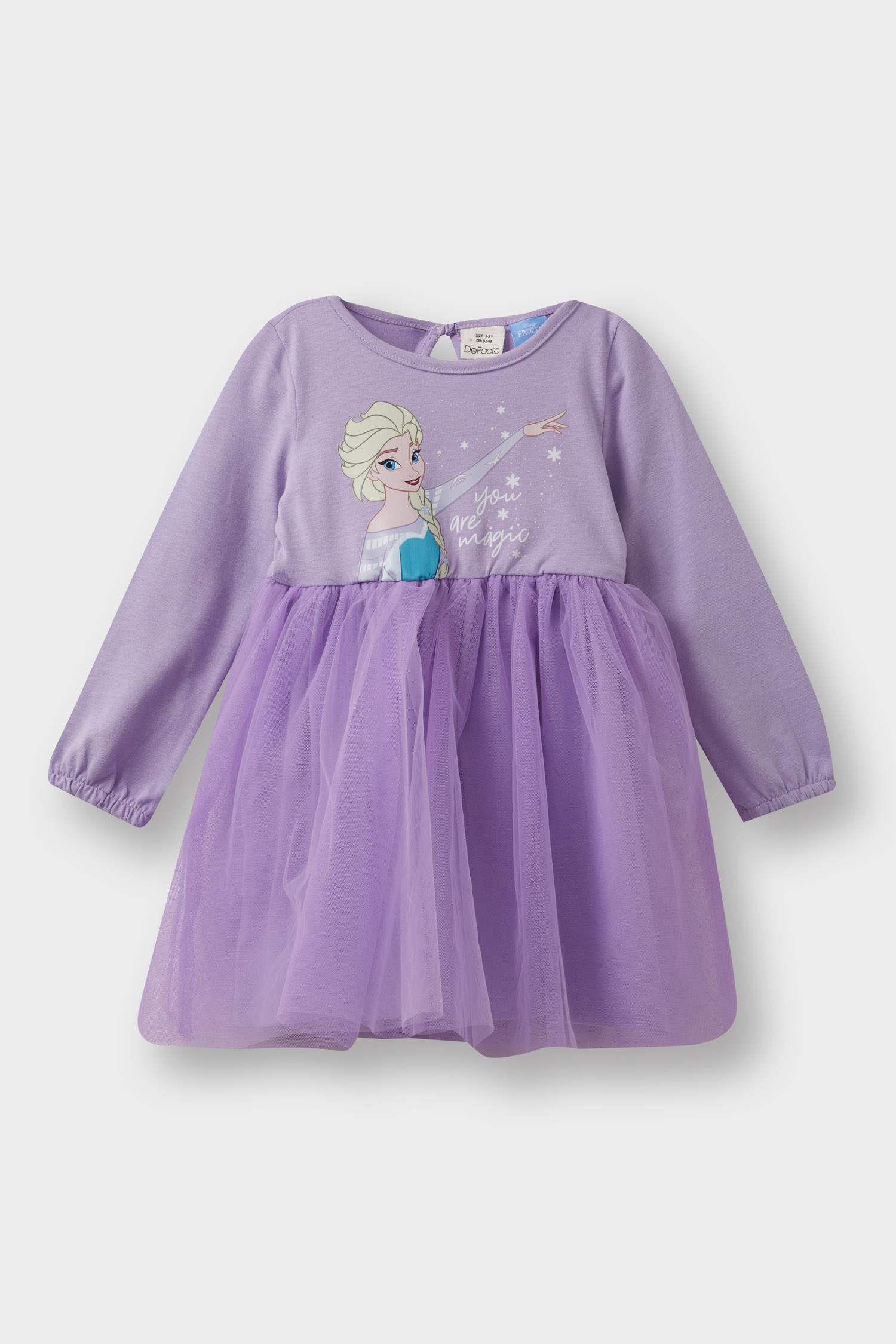Baby Girl Frozen Long Sleeve Tulle Dress