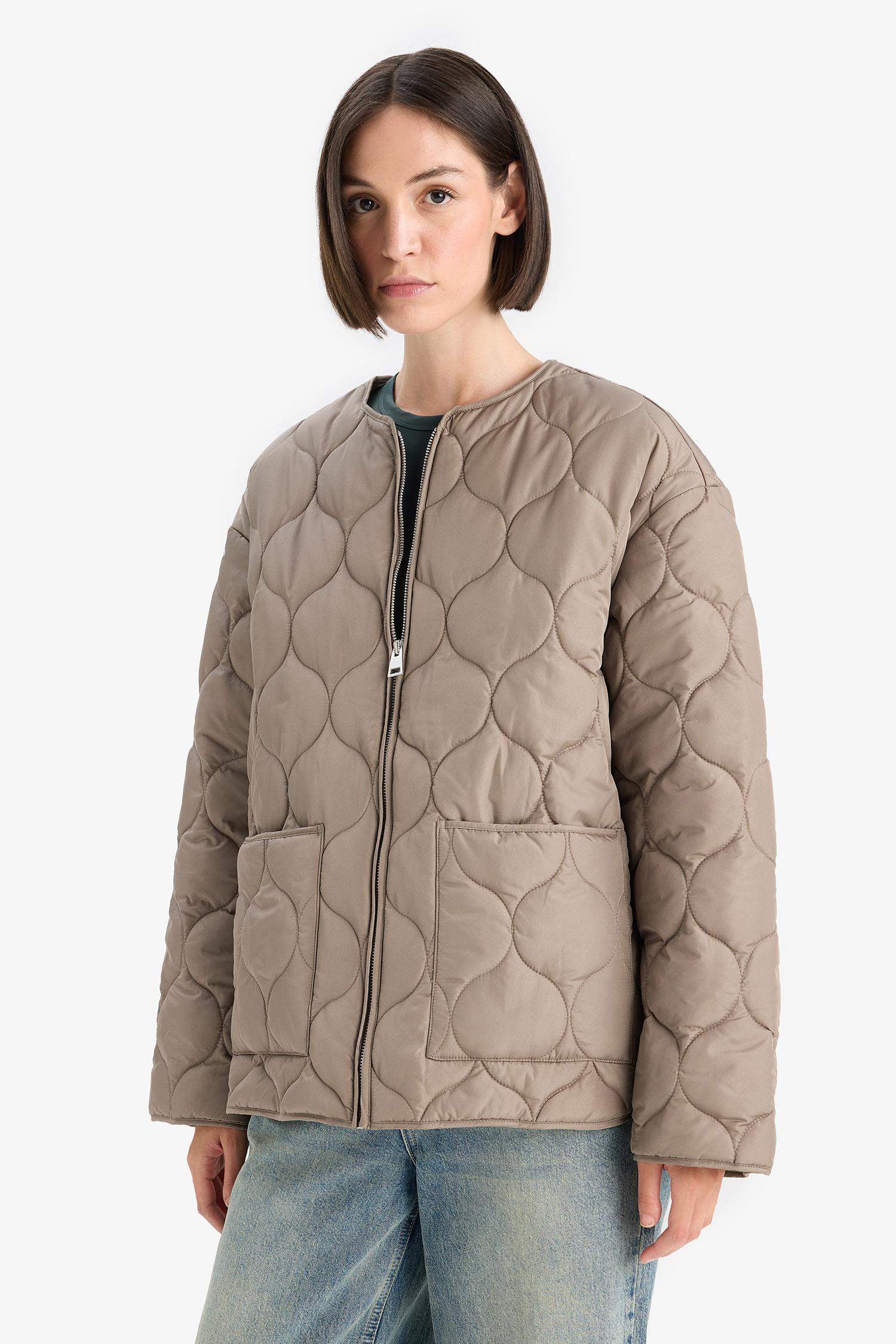 Waterproof Regular Fit Crew Neck Zip-Up Quilted Jacket