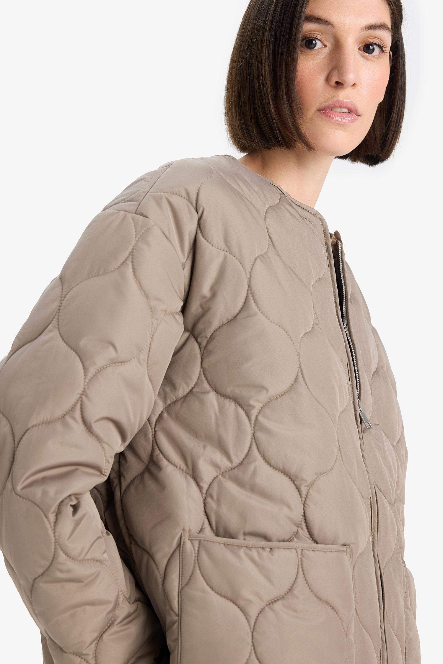 Waterproof Regular Fit Crew Neck Zip-Up Quilted Jacket